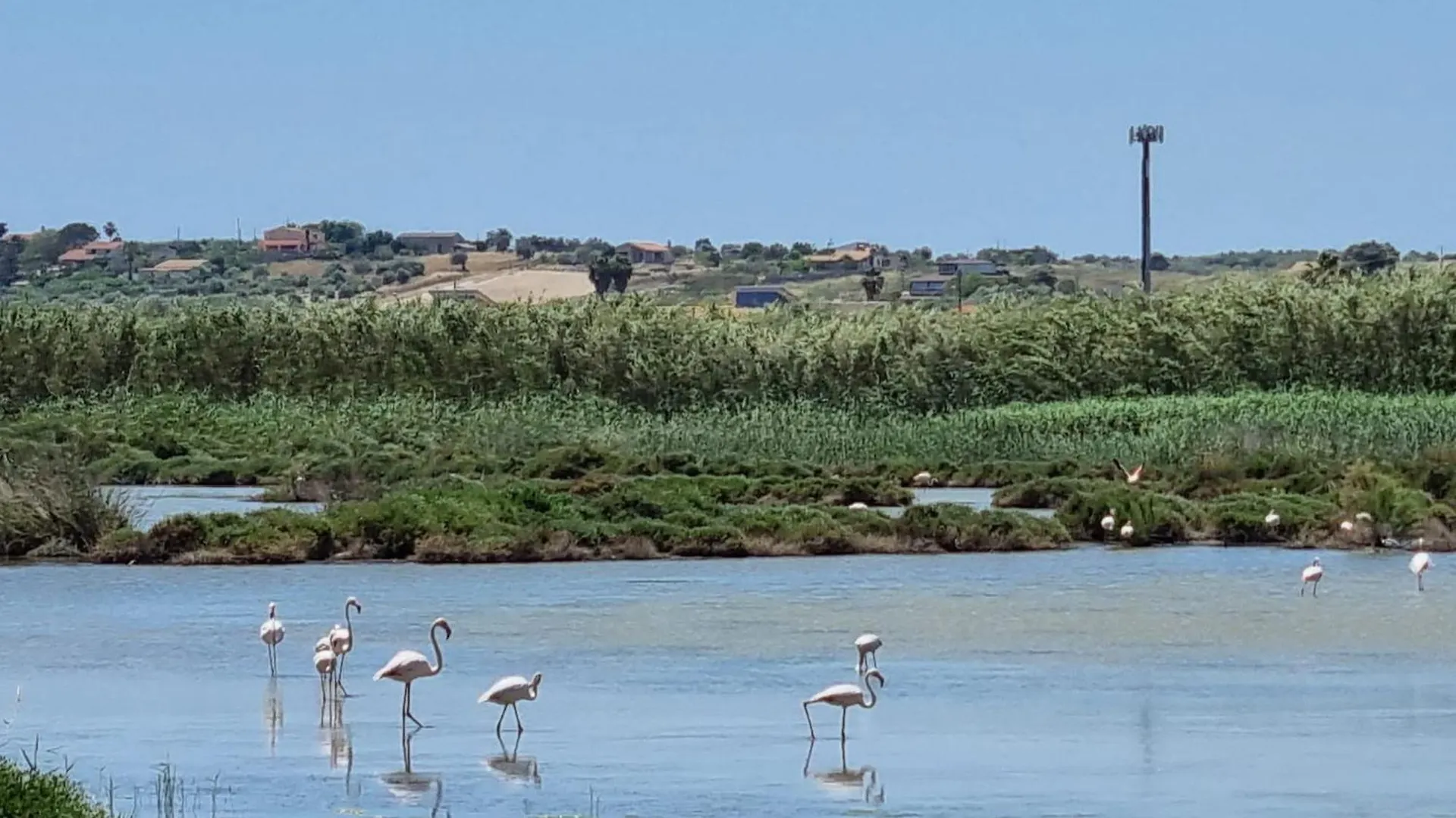 Appartamento Casa Dimartino a 10 minuti da Marzamemi Pachino